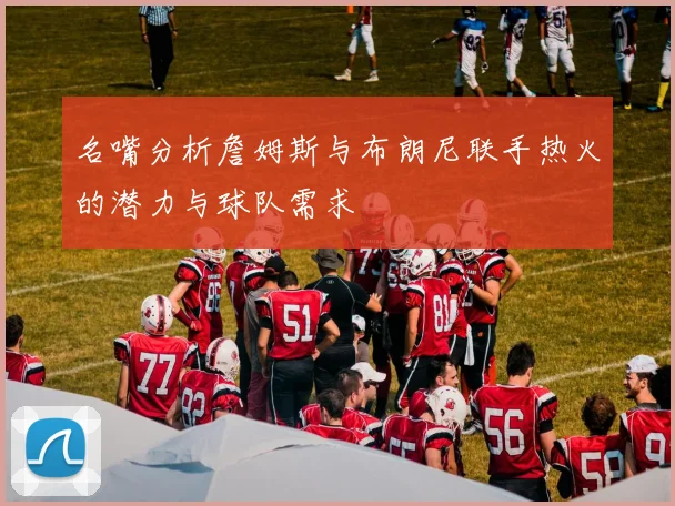名嘴分析詹姆斯与布朗尼联手热火的潜力与球队需求