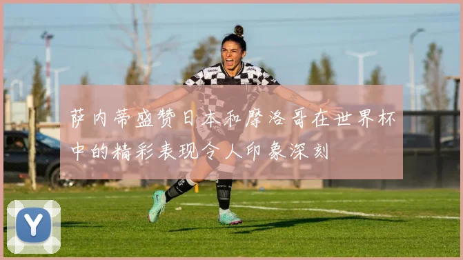 萨内蒂盛赞日本和摩洛哥在世界杯中的精彩表现令人印象深刻