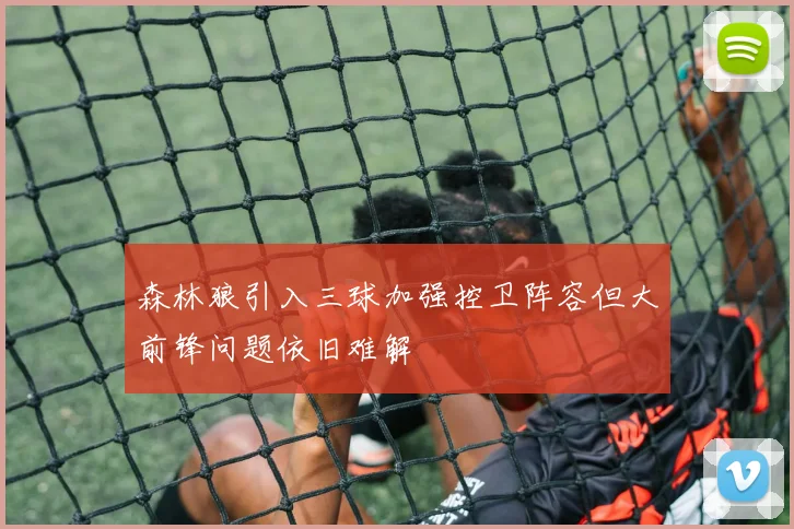 森林狼引入三球加强控卫阵容但大前锋问题依旧难解